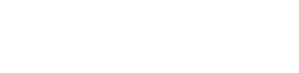 amaris hardware logo